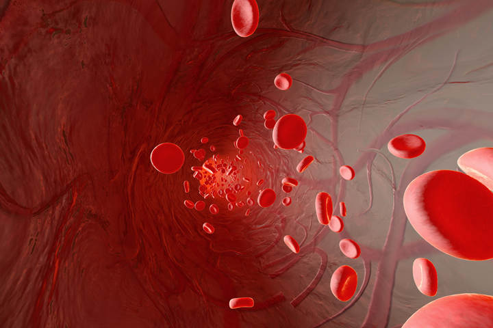 Hepatitis E