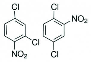 Openbaar conceptrapport ‘2,4-dichloro-1-nitrobenzene en 1,4-dichloro-2-nitrobenzene’